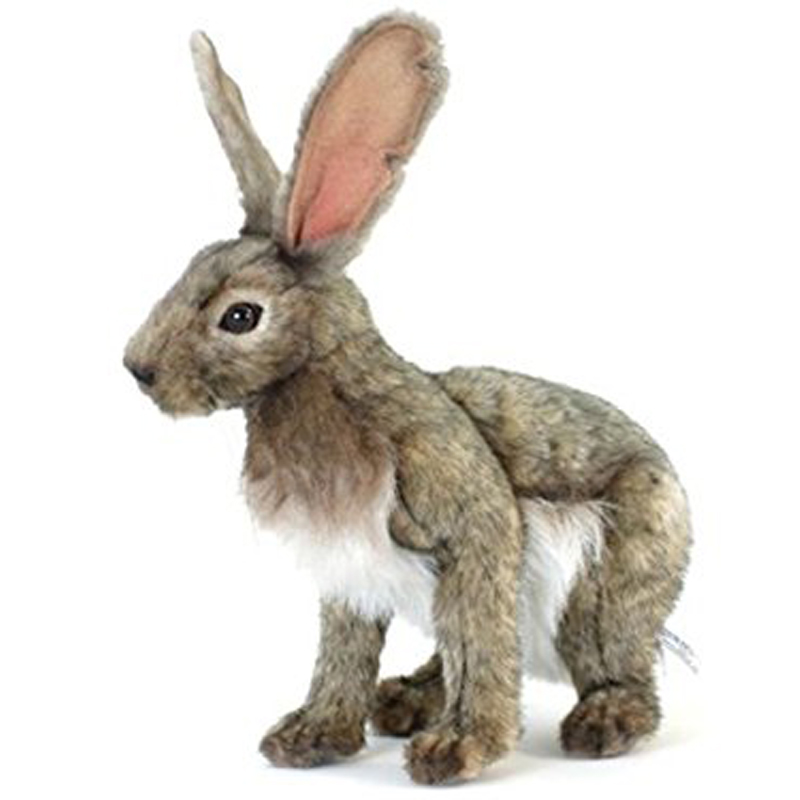 Jack Rabbit Plush Soft Toy by Hansa